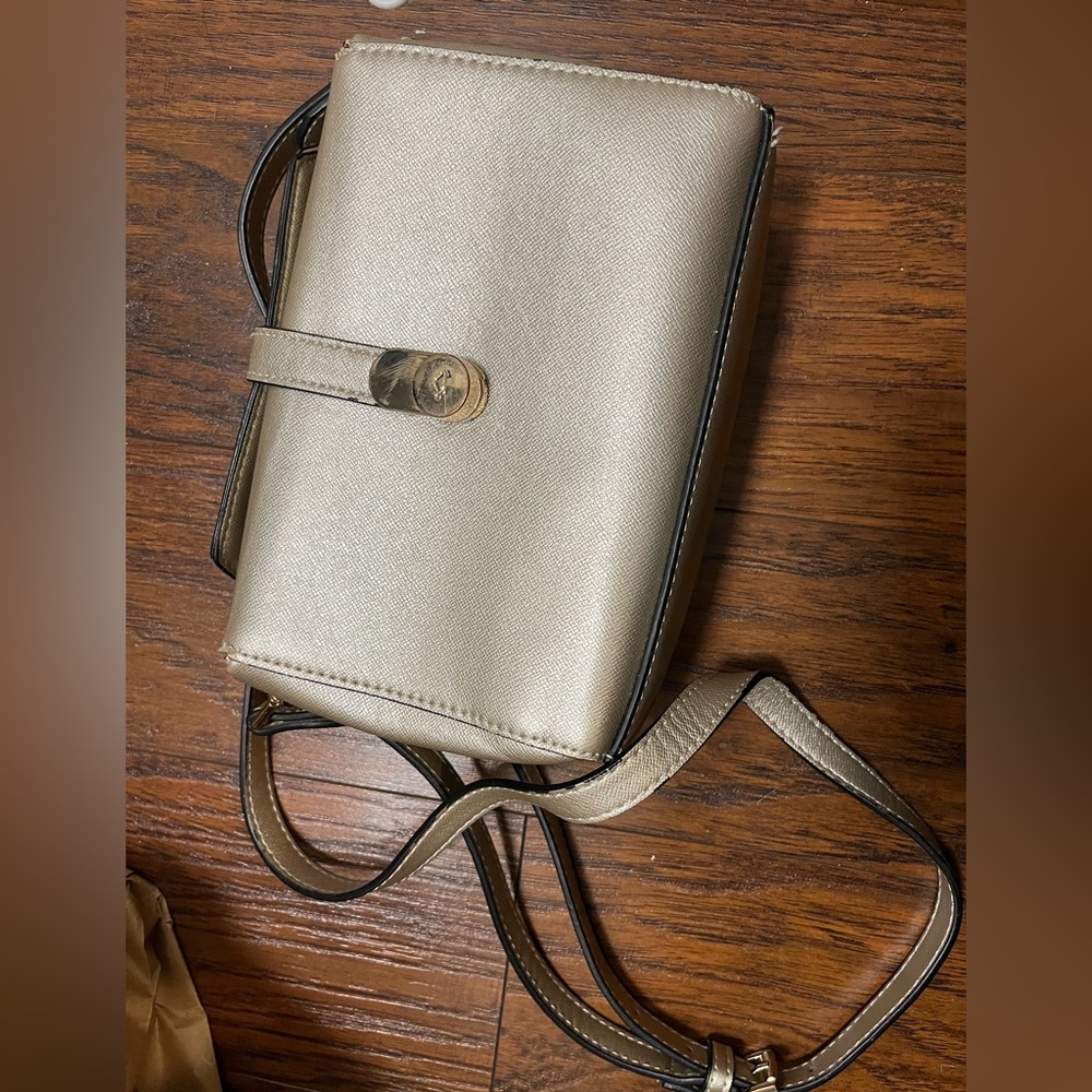 Carpisa box bag in gold